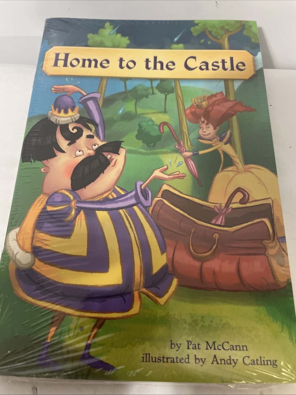 Fountas & Pinell Literacy Sealed 6 Pack Book Set Home To The Castle